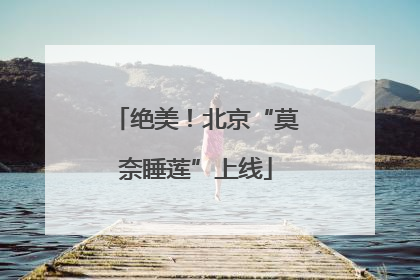 绝美！北京“莫奈睡莲”上线