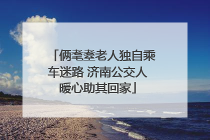俩耄耋老人独自乘车迷路 济南公交人暖心助其回家