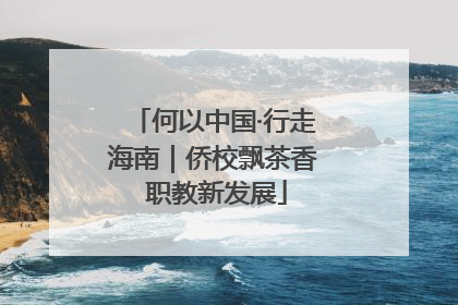 何以中国·行走海南｜侨校飘茶香 职教新发展