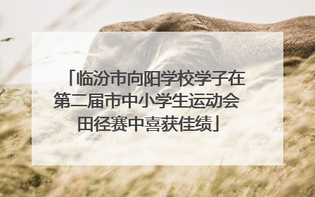 临汾市向阳学校学子在第二届市中小学生运动会田径赛中喜获佳绩