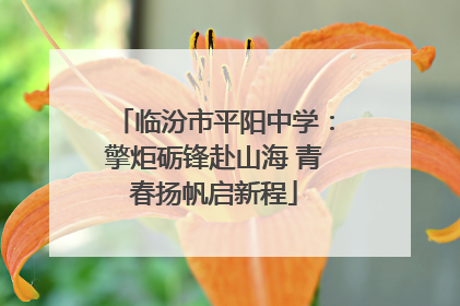 临汾市平阳中学：擎炬砺锋赴山海 青春扬帆启新程
