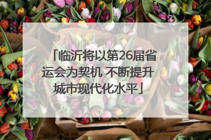 临沂将以第26届省运会为契机 不断提升城市现代化水平