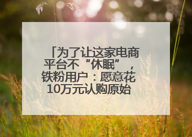为了让这家电商平台不“休眠”，铁粉用户：愿意花10万元认购原始股“应援”