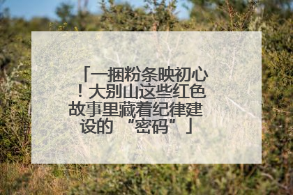 一捆粉条映初心！大别山这些红色故事里藏着纪律建设的 “密码”