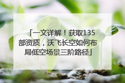 一文详解！获取135部资质，沃飞长空如何布局低空场景三阶路径