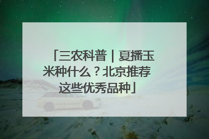 三农科普｜夏播玉米种什么？北京推荐这些优秀品种