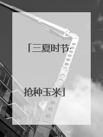三夏时节·抢种玉米