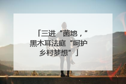三进“菌地，”黑木耳法庭“呵护乡村梦想”
