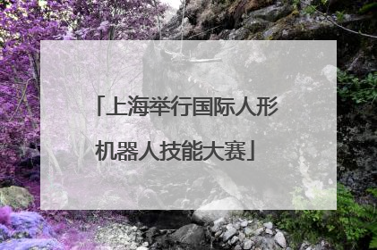 上海举行国际人形机器人技能大赛