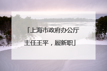 上海市政府办公厅主任王平，履新职