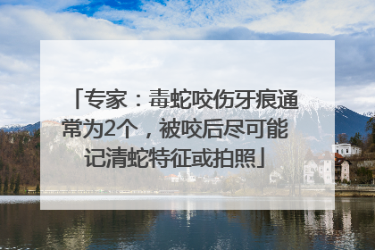 专家：毒蛇咬伤牙痕通常为2个，被咬后尽可能记清蛇特征或拍照