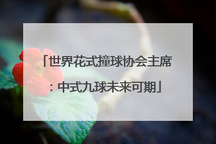世界花式撞球协会主席：中式九球未来可期