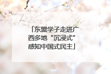 东盟学子走进广西多地“沉浸式”感知中国式民主