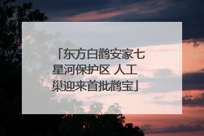 东方白鹳安家七星河保护区 人工巢迎来首批鹳宝