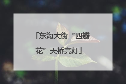 东海大街“四瓣花”天桥亮灯