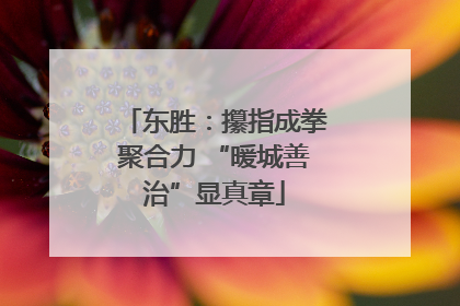东胜：攥指成拳聚合力 “暖城善治”显真章