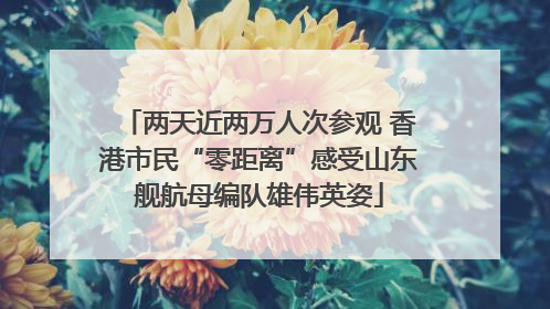 两天近两万人次参观 香港市民“零距离”感受山东舰航母编队雄伟英姿