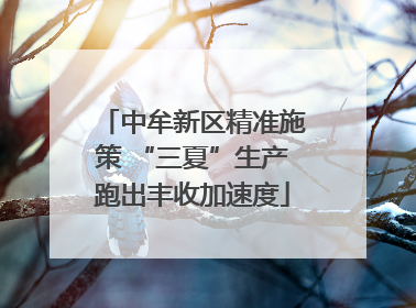 中牟新区精准施策 “三夏”生产跑出丰收加速度