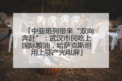 中亚班列带来“双向奔赴”：武汉市民吃上国际粮油，哈萨克斯坦用上鄂产光电屏