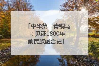 中华第一青铜马：见证1800年前民族融合史
