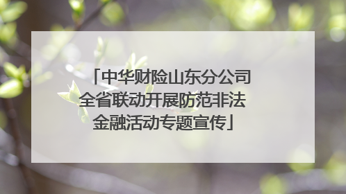 中华财险山东分公司全省联动开展防范非法金融活动专题宣传