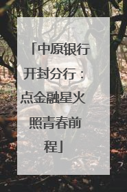 中原银行开封分行：点金融星火 照青春前程