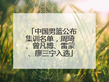 中国男篮公布集训名单，周琦、曾凡博、雷蒙、廖三宁入选