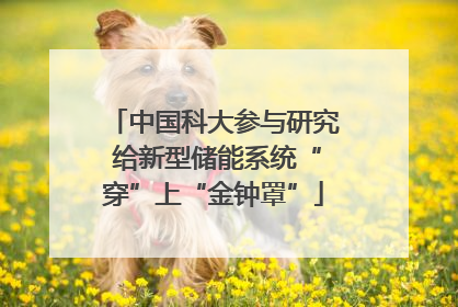 中国科大参与研究 给新型储能系统“穿”上“金钟罩”