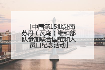 中国第15批赴南苏丹（瓦乌）维和部队参加联合国维和人员日纪念活动