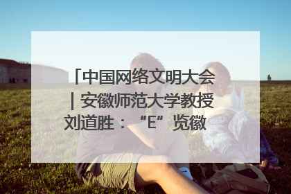 中国网络文明大会｜安徽师范大学教授刘道胜：“E”览徽风，构筑中华民族共有精神家园