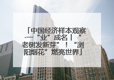 中国经济样本观察·一“业”成名丨“老树发新芽”！“浏阳烟花”燃亮世界