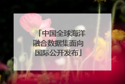 中国全球海洋融合数据集面向国际公开发布
