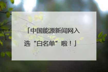 中国能源新闻网入选“白名单”啦！