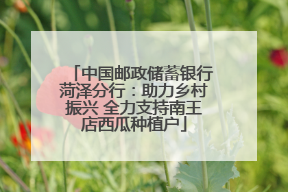 中国邮政储蓄银行菏泽分行：助力乡村振兴 全力支持南王店西瓜种植户