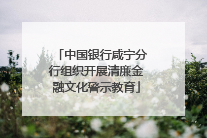 中国银行咸宁分行组织开展清廉金融文化警示教育