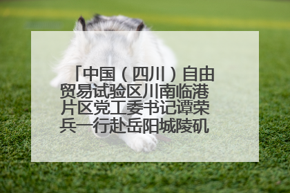 中国（四川）自由贸易试验区川南临港片区党工委书记谭荣兵一行赴岳阳城陵矶综保区考察