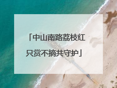 中山南路荔枝红 只赏不摘共守护