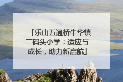 乐山五通桥牛华镇二码头小学：适应与成长，助力新启航