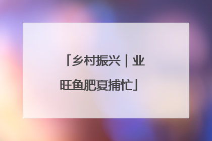 乡村振兴｜业旺鱼肥夏捕忙