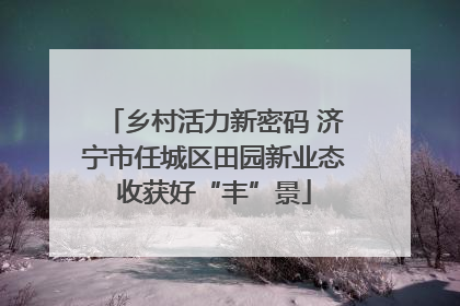 乡村活力新密码 济宁市任城区田园新业态收获好“丰”景