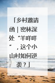 乡村邀请函｜密林深处“羊咩咩”，这个小山村如何逆袭？