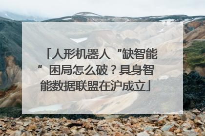 人形机器人“缺智能”困局怎么破？具身智能数据联盟在沪成立