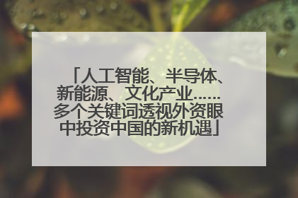 人工智能、半导体、新能源、文化产业……多个关键词透视外资眼中投资中国的新机遇