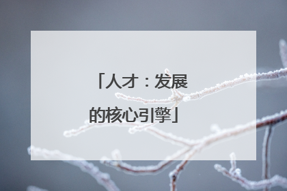 人才：发展的核心引擎