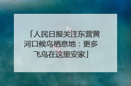 人民日报关注东营黄河口候鸟栖息地：更多飞鸟在这里安家