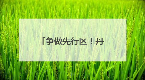 争做先行区！丹东这样持续发力