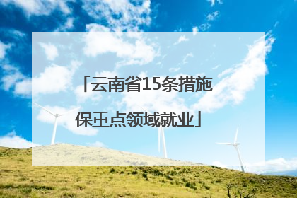 云南省15条措施保重点领域就业