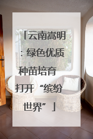 云南嵩明：绿色优质种苗培育 打开“缤纷世界”