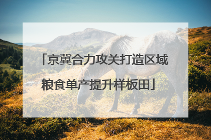 京冀合力攻关打造区域粮食单产提升样板田