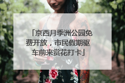 京西月季洲公园免费开放，市民假期驱车前来赏花打卡